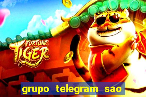 grupo telegram sao jose do rio preto